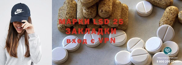 прущие грибы Алексин