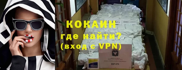 прущие грибы Алексин