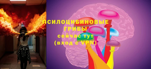 тгк Алзамай