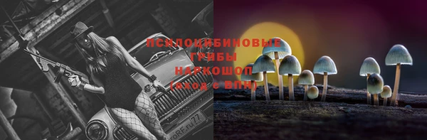 прущие грибы Алексин
