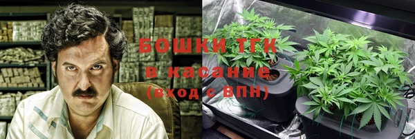 прущие грибы Алексин