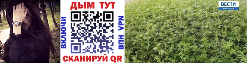 Канабис сатива Лаишево